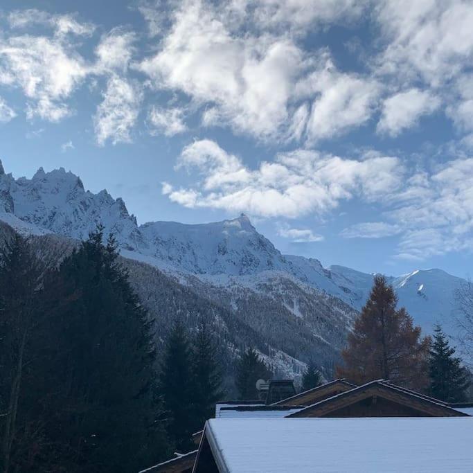 Belle Vue Des Praz Διαμέρισμα Σαμονί Εξωτερικό φωτογραφία