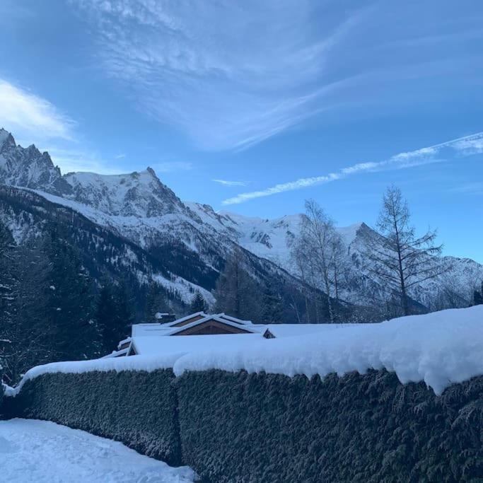 Belle Vue Des Praz Διαμέρισμα Σαμονί Εξωτερικό φωτογραφία